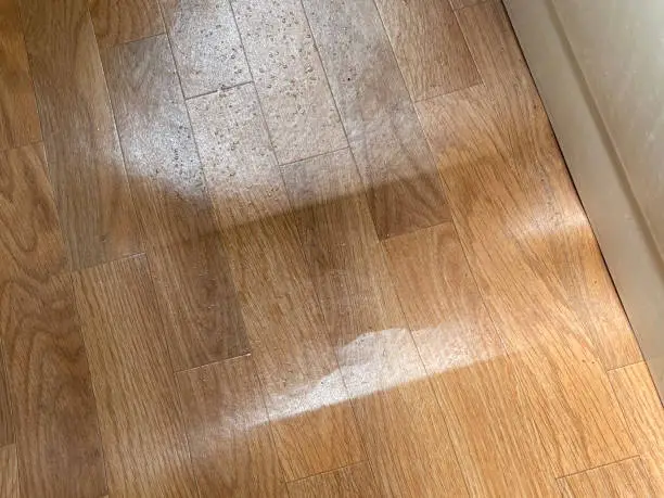 How To Repair Swollen Laminate Flooring Without Replacing Majesty